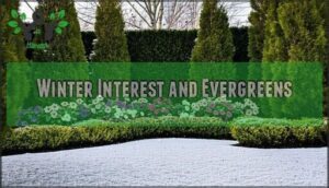 winter interest and evergreens