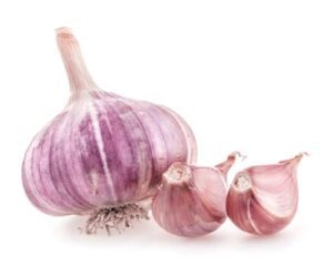 5 Pack of Fresh Purple B0F9VV7HYD