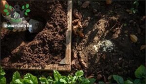 adding organic matter and amendments