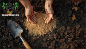applying fertilizer and covering bulbs