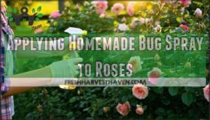 applying homemade bug spray to roses
