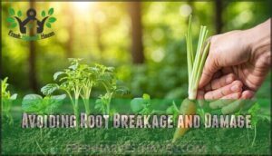 avoiding root breakage and damage