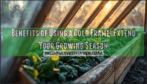 benefits of using a cold frame