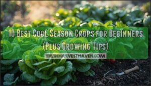 best cool season crops for beginners best cool season crops for beginners
