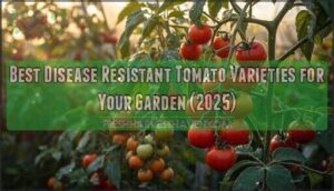 best disease resistant tomato varieties best disease resistant tomato varieties