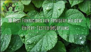 best fungicide for powdery mildew