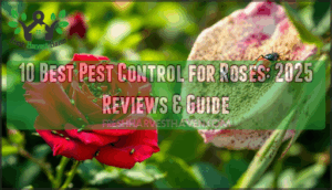 best pest control for roses