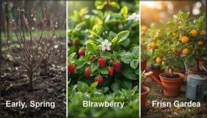 best planting times for different fruits