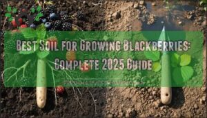 best soil for growing blackberries