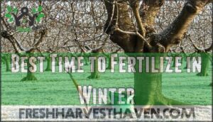 best time to fertilize in winter