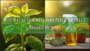best way to eliminate herb pests
