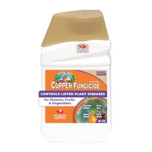 Bonide Captain Jack Copper Fungicide B00BSULSHA