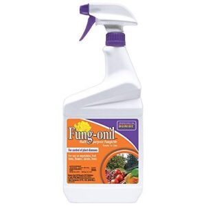 Bonide Fung onil Multi Purpose Fungicide, 32 B000BQ800K