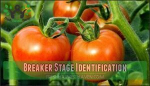 breaker stage identification