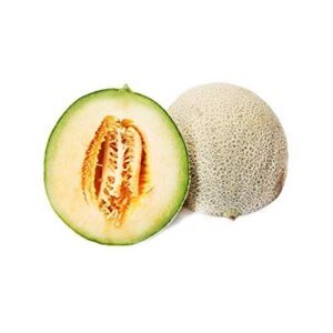 Cantaloupe Melon, 1 Each B000NSGULC