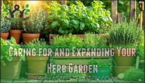 caring for and expanding your herb garden