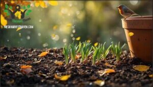 caring for bulbs after planting