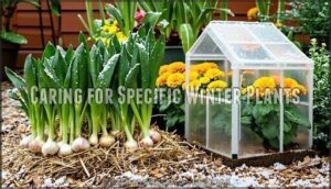 caring for specific winter plants