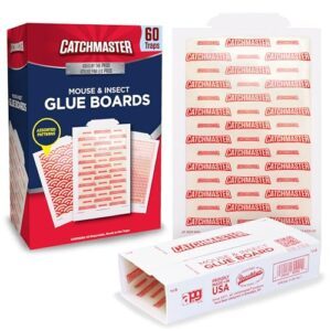 Catchmaster Mouse & Insect Glue B005IMZ9K6