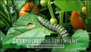 caterpillars and armyworms