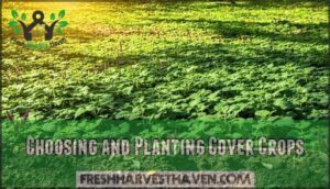 choosing and planting cover crops