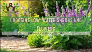 choosing low-water shrubs and flowers