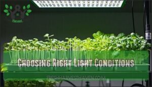 choosing right light conditions