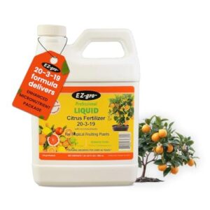Citrus Tree Fertilizer   Orange, B07FK33TDH