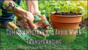 common mistakes to avoid when transplanting