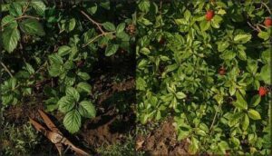 common pruning mistakes to avoid