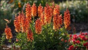 coppertips: striking red, orange, and yellow