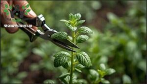 cutting above leaf nodes for regrowth