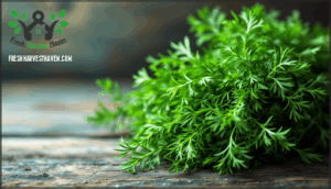 dill – grassy and distinctive flavor dill – grassy and distinctive flavor