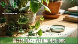 direct observation methods