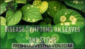 disease symptoms on leaves and stems