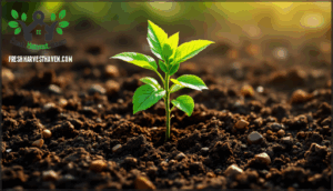 early fertilization with organic amendments