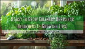 easy to grow culinary herbs