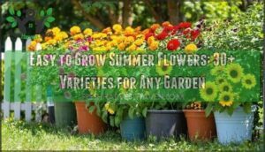 easy to grow summer flowers