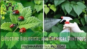 effective biological and chemical controls