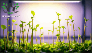 effects of insufficient light