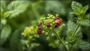employing beneficial insects for pest control