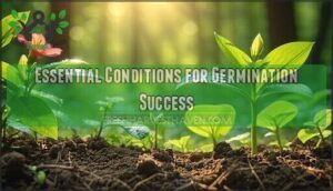 essential conditions for germination success