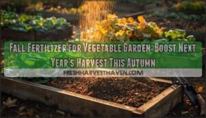 fall fertilizer for vegetable garden