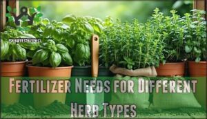 fertilizer needs for different herb types