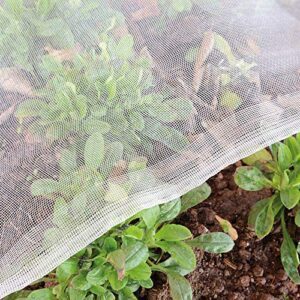Garden Netting Pest Barrier: 10'x20' B089Q6ZSK2
