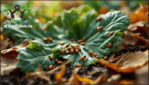 garden pest control garden pest control