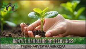 gentle handling of seedlings