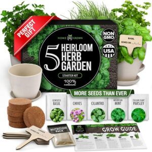 HOME GROWN Indoor Herb Garden B07XL4VHJC