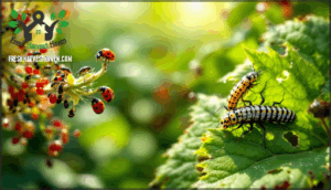 identifying harmful insects identifying harmful insects