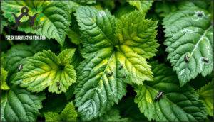 leafhoppers and leaf miners
